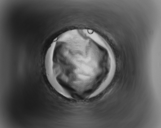 X0000087601494200705181228