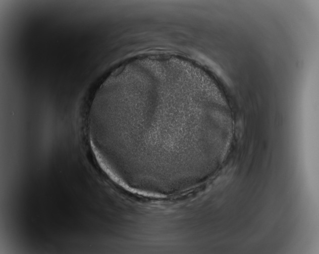 X0000087601496200705181228