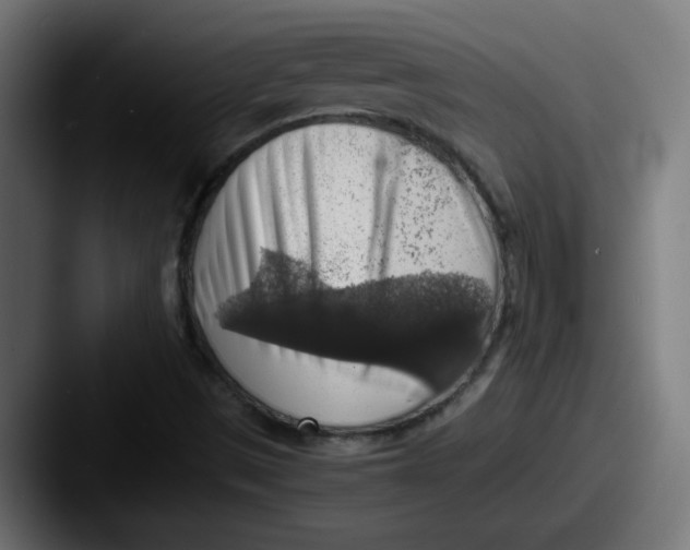 X0000087601497200705181228