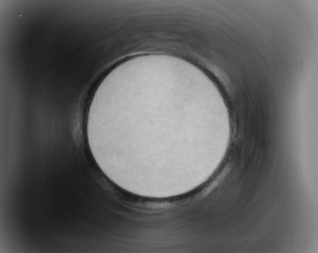 X0000087601498200705181228