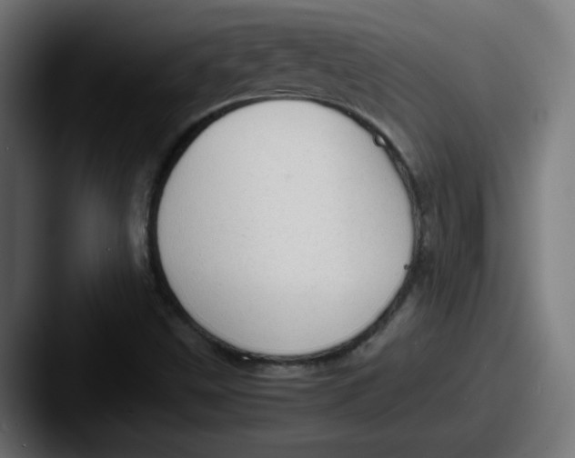 X0000087601499200705181228