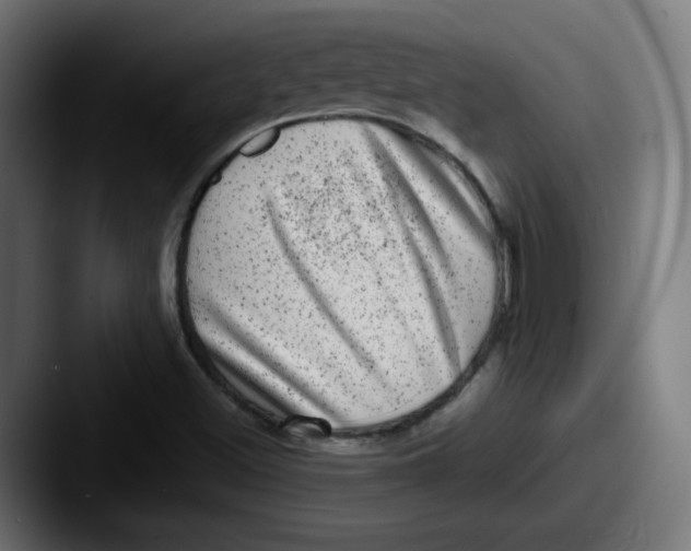 X0000087601500200705181228