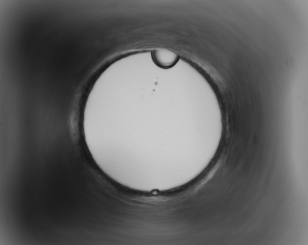 X0000087601502200705181228