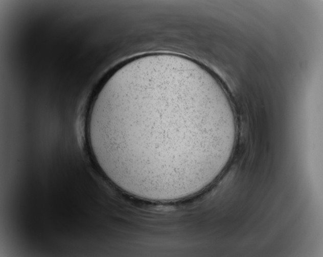 X0000087601503200705181228