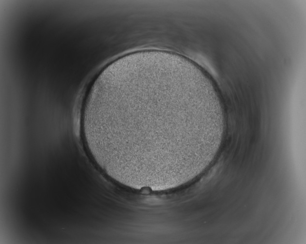 X0000087601504200705181228