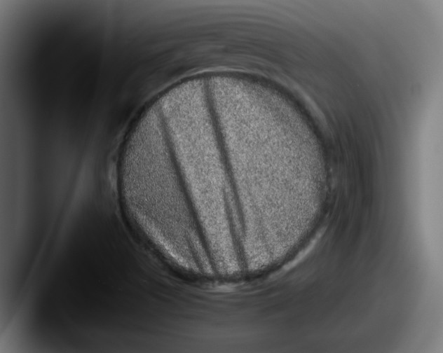 X0000087601505200705181228
