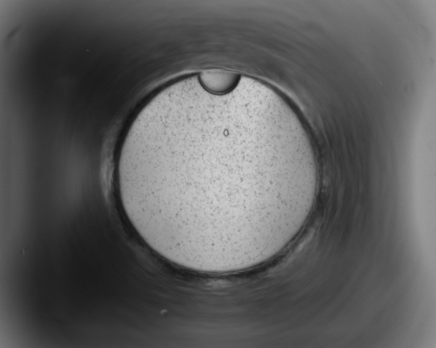 X0000087601507200705181228