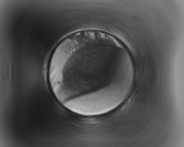 X0000087601508200705181228