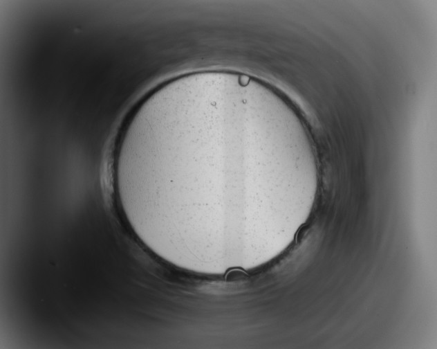 X0000087601510200705181228
