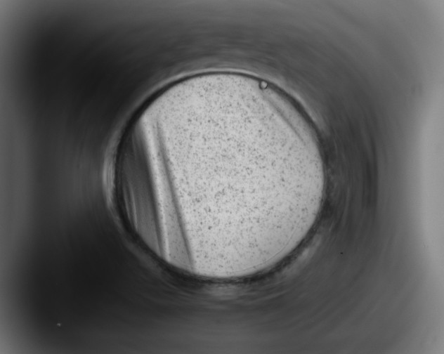X0000087601511200705181228