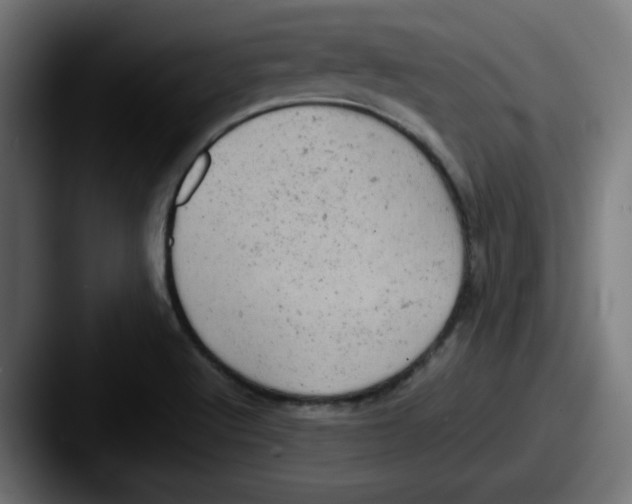 X0000087601512200705181228