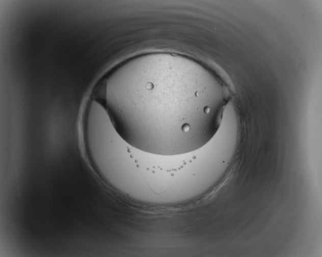 X0000087601514200705181228