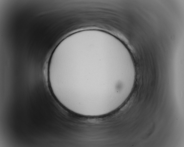 X0000087601516200705181228