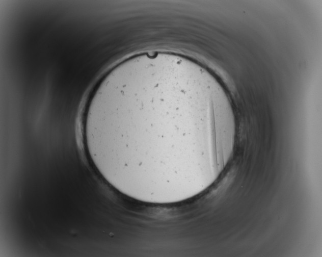 X0000087601517200705181228