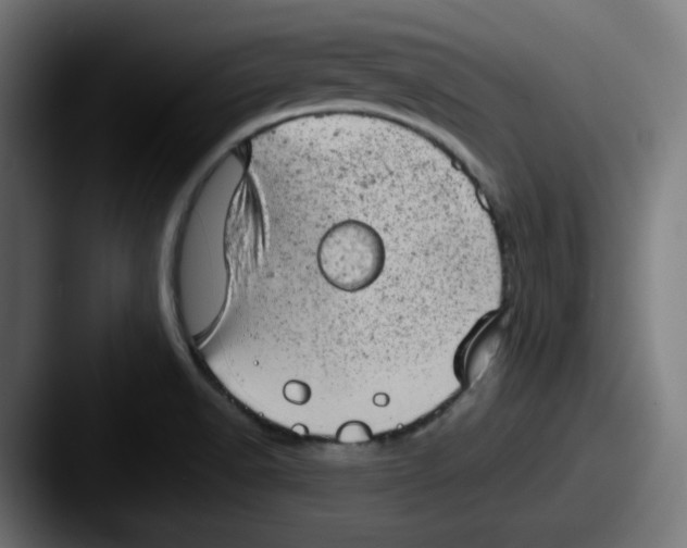 X0000087601518200705181228