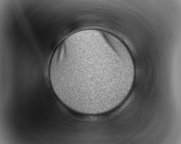 X0000087601521200705181228