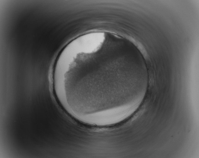 X0000087601522200705181228
