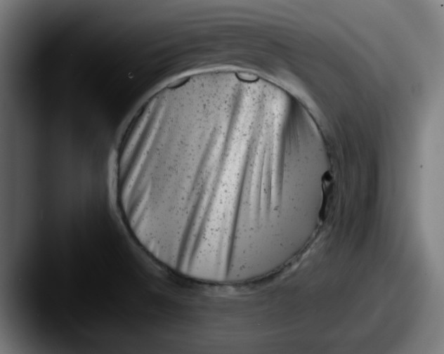 X0000087601524200705181228