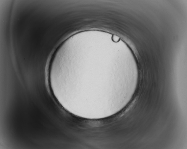 X0000087601525200705181228