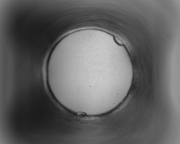 X0000087601526200705181228