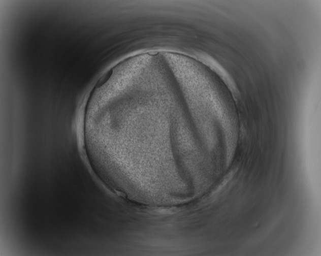 X0000087601528200705181228
