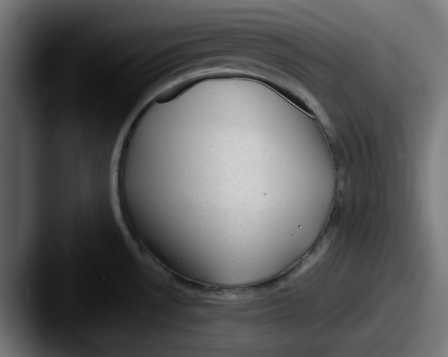 X0000087601530200705181228