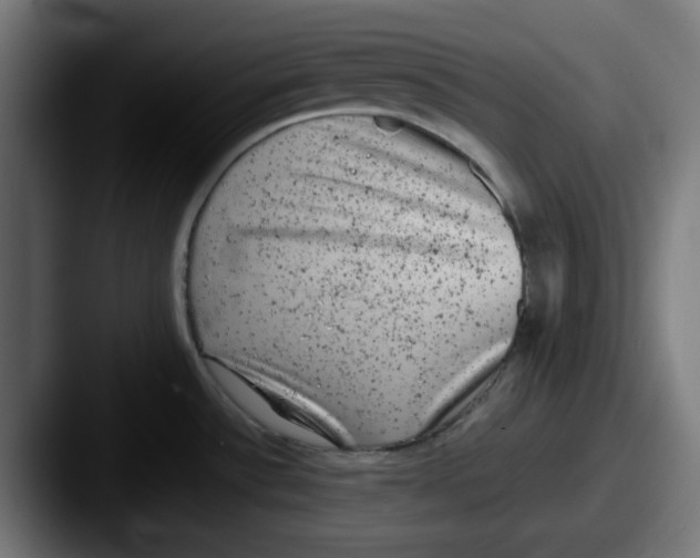 X0000087601532200705181228