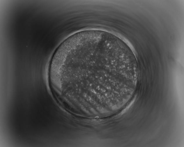X0000087601533200705181228