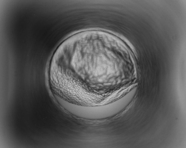 X0000087601534200705181228