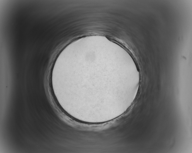 X0000087600001200705251931