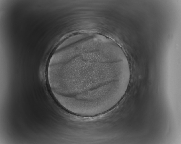 X0000087600002200705251931