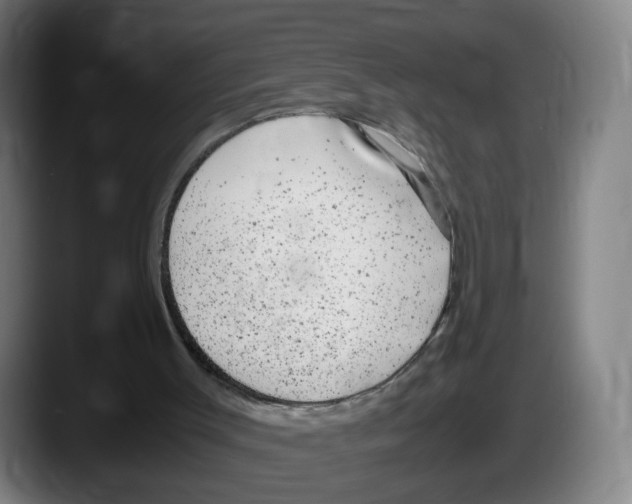 X0000087600003200705251931