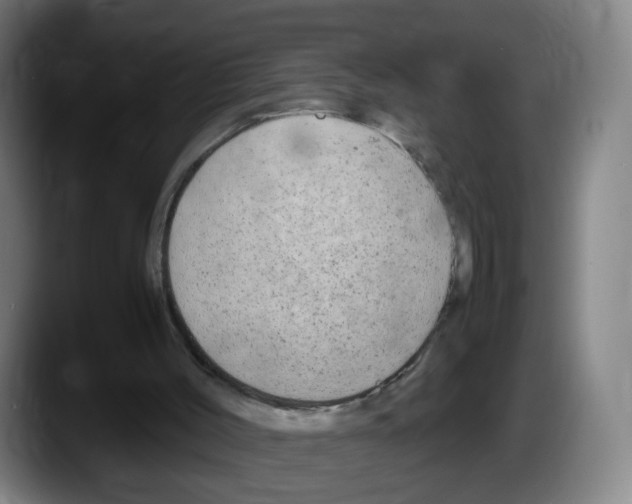 X0000087600004200705251931