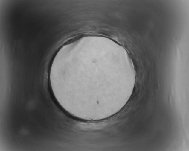 X0000087600005200705251931