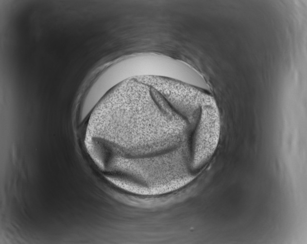 X0000087600006200705251931