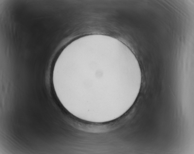 X0000087600008200705251931