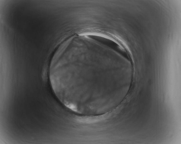 X0000087600009200705251931