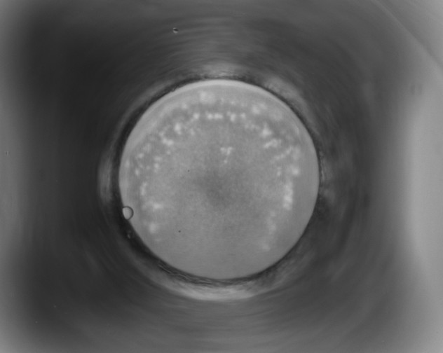 X0000087600012200705251931