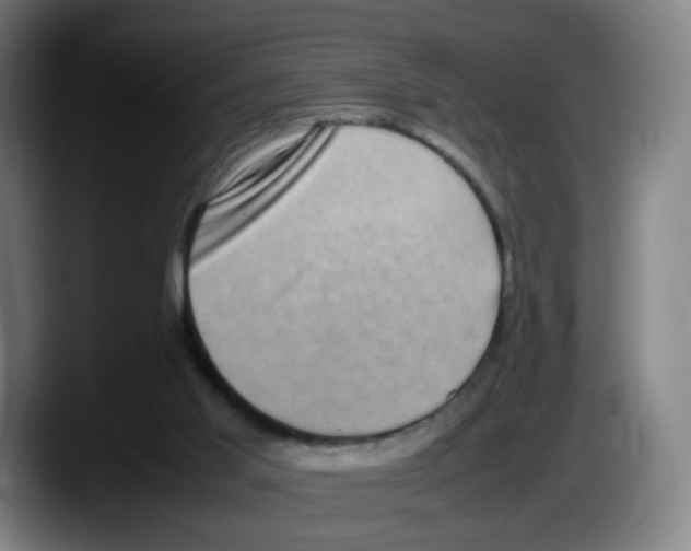 X0000087600013200705251931