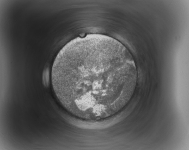 X0000087600014200705251931