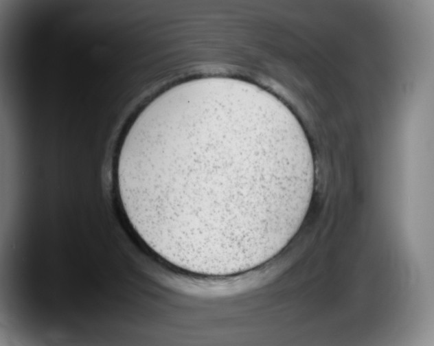 X0000087600015200705251931