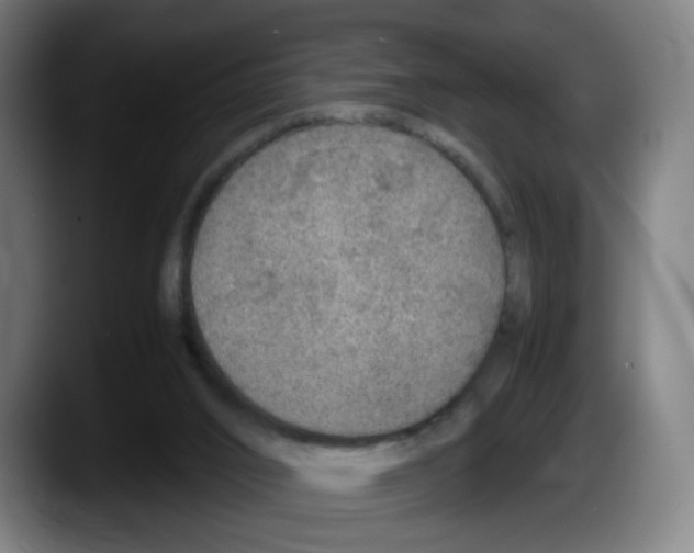 X0000087600016200705251931