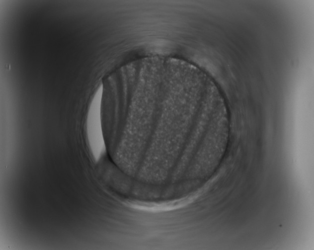 X0000087600017200705251931