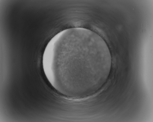 X0000087600018200705251931