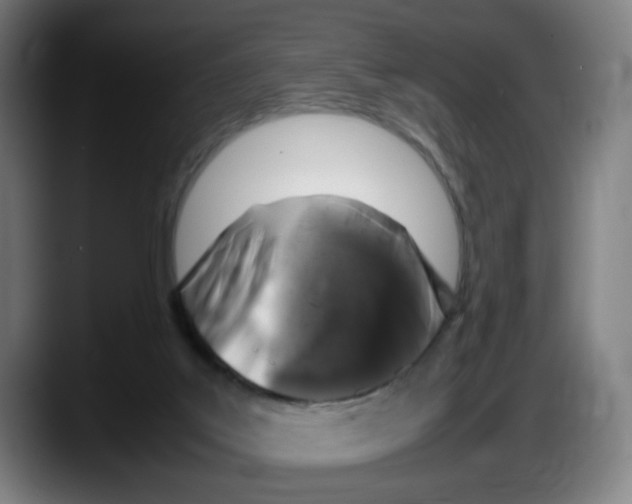 X0000087600019200705251931