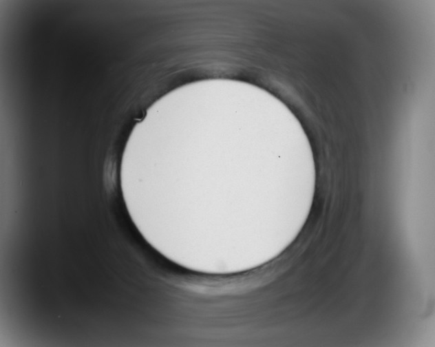 X0000087600021200705251931