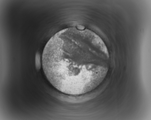 X0000087600022200705251931