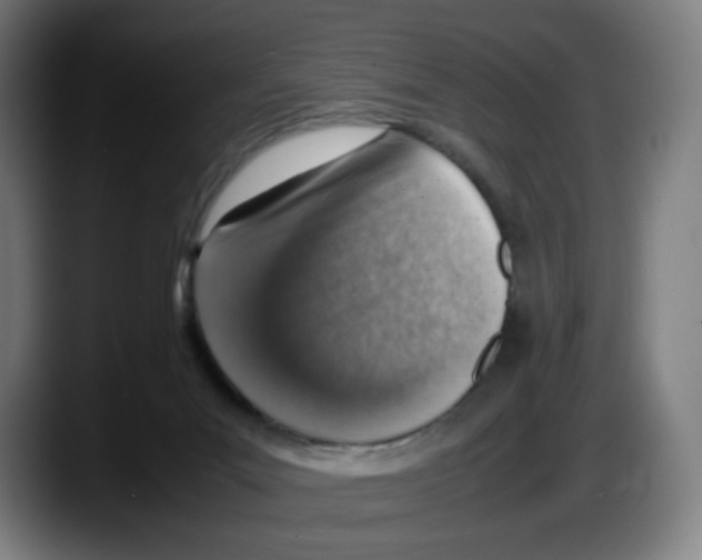 X0000087600023200705251931