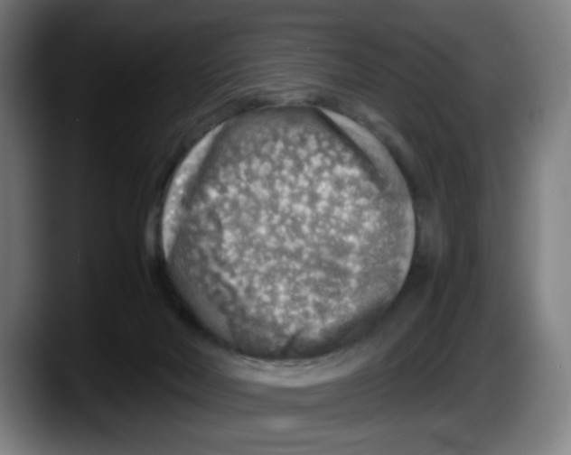 X0000087600026200705251931