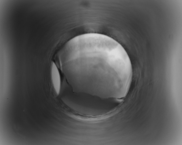 X0000087600027200705251931